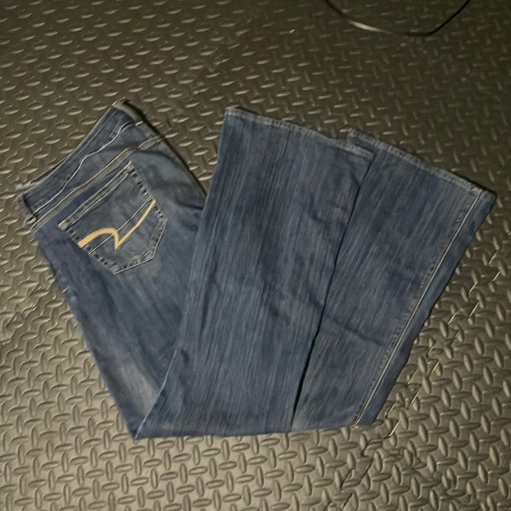 American Eagle Outfitters Artist Flare Jeans